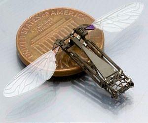 Unraveling a Butterfly's Aerial Antics Could Help Builders of Bug-Size Flying Robots