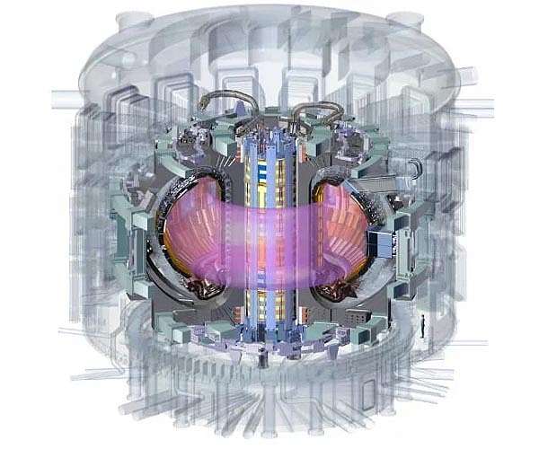 International fusion energy project faces delays, says chief
