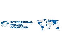 IWC passes Brazil project to protect whales