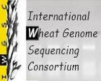 Genetic blueprint of bread wheat genome unveiled