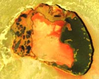 Galileo Back Online After Failed Io Flyby