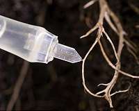 Ag scientists using electronics to control plant growth
