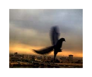 Arab summit 2012: new leaders, new politics