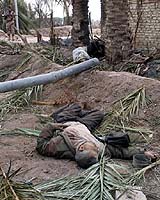 Iraq Beset By Soaring Civilian Death Toll
