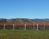 Study links irrigation to inaccurate climate perception