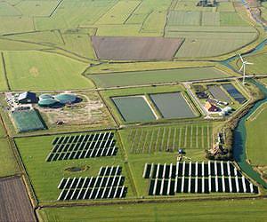Germany eyes swift cuts in renewable energy subsidies
