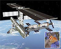 Butterfly experiment goes into space