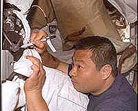 Crew 10 Stretches Out On Space Station
