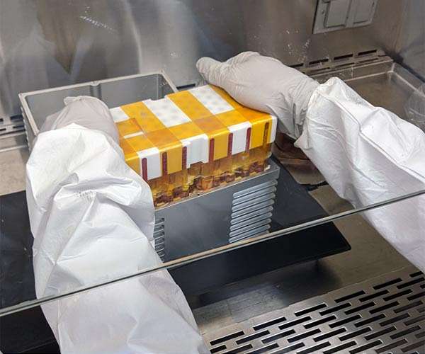 Space could revolutionize stem cell research for treating disease
