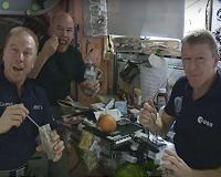 Spaceflight consistently affects the gut
