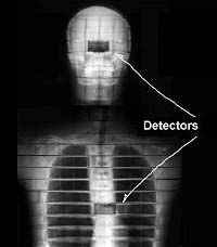 The Phantom Torso