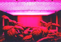 Keeping Crews Healthy On The Way To Mars