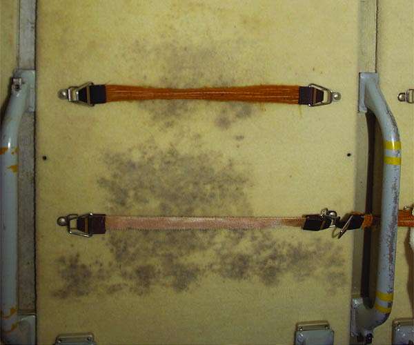 Self-cleaning spacecraft surfaces to combat microbes