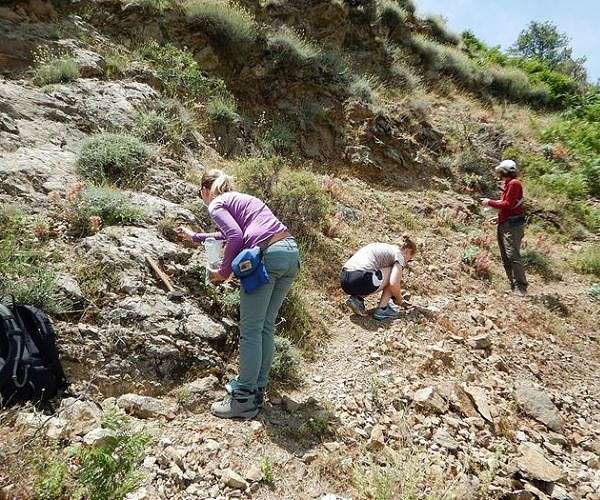 Researchers uncover reasons to rethink how mountains are built