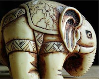 Asian demand for ivory, sharks' fins, tuna set for scrutiny