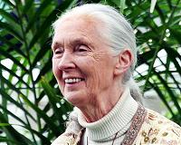 At 82, Jane Goodall embraces modern technology to save planet
