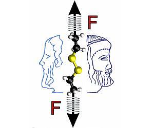 Researchers unmask Janus-faced nature of mechanical forces with the Julich supercomputer