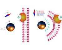 Microagents with revolutionary potential