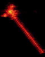 Earth Observation Operation of Midori-II