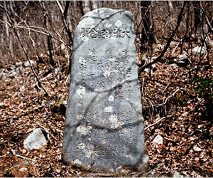 Japan's ancient tsunami warnings carved in stone