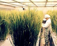 Japan researchers unveil robot suit for farmers