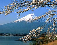 Japan's CO2 emissions hit record high: official
