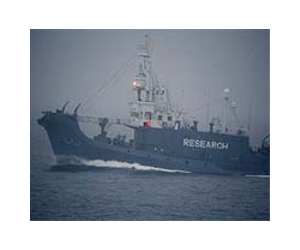 Japanese whaler cleared of ramming Sea Shepherd protest boat