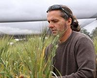 Small molecules to help make SMARTER cereals