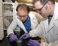 Berkeley Develops Techniques To Pluck Comet Dust From Stardust Collectors