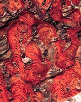 Primordial Stone Soup