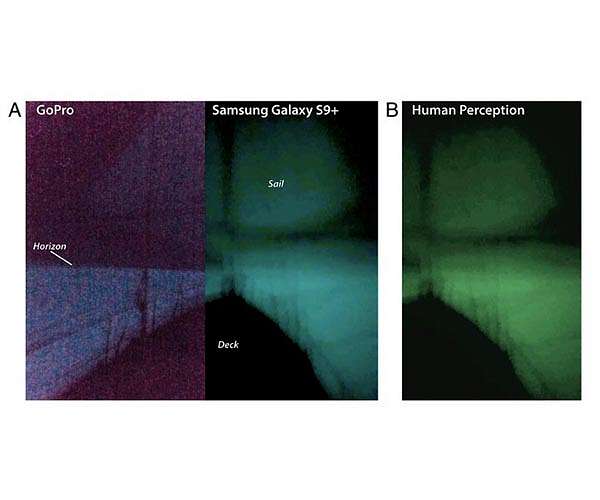 CSU researcher links real encounter with 'milky seas' to satellite pictures