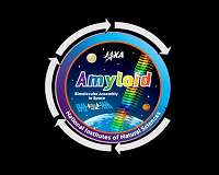 Amyloid formation in the International Space Station