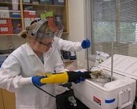 Permafrost's turn of the microbes