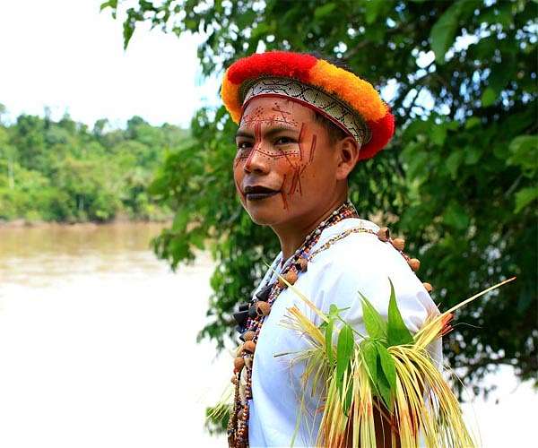 Indigenous groups call for bold steps at Amazon summit