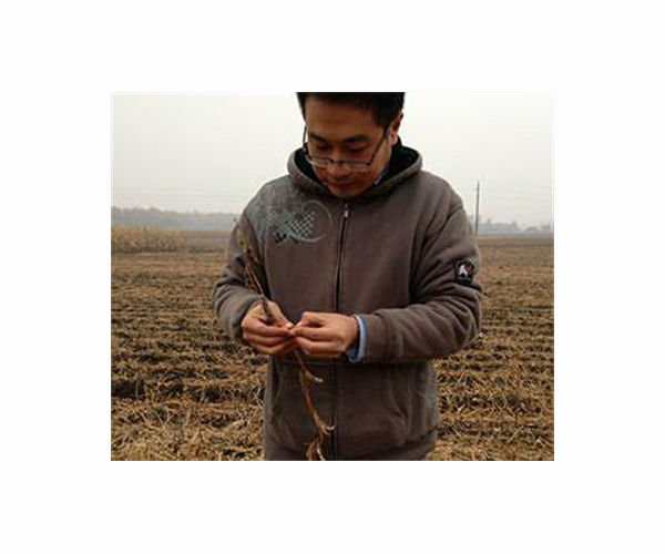 China's 'new farmers' learn to livestream in rural revitalisation