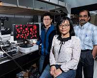 A simple route to developing new sensors
