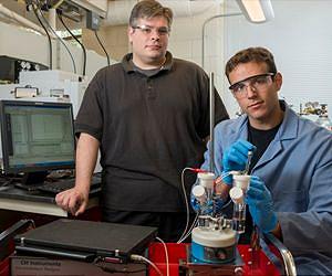 A cheaper drive to 'cool' fuels