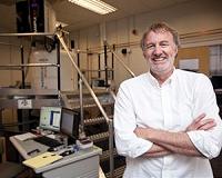 Engineered softwood could transform pulp, paper and biofuel industries