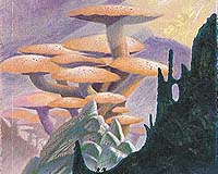 The Dreadful Hammers Of Jules Verne