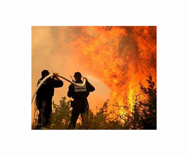Forest fire rages near Croatia coastal resort