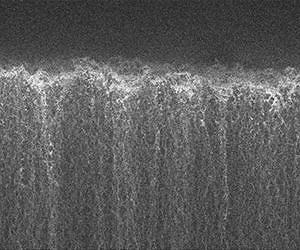 Lawrence Livermore researchers unveil carbon nanotube jungles to better detect molecules
