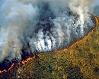 Huge fire in Brazil's jungle threatens tribes: Greenpeace