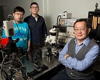 Light helps the transistor laser switch faster