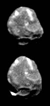 Galileo Swims In Radiation Soup To Take Closeups Of Jovian Inner Moons