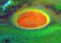 Galileo Spys Ammonia Ice Clouds
