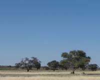 Fires ravage world's largest wildlife reserve in Botswana