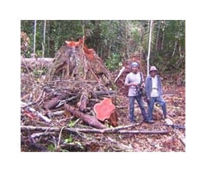 Indonesia court ruling boosts indigenous land rights