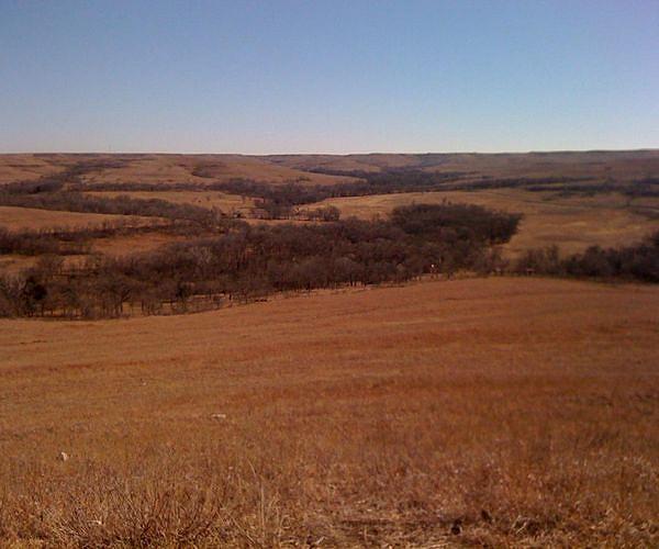 Human use has increased grasslands' contribution to climate change
