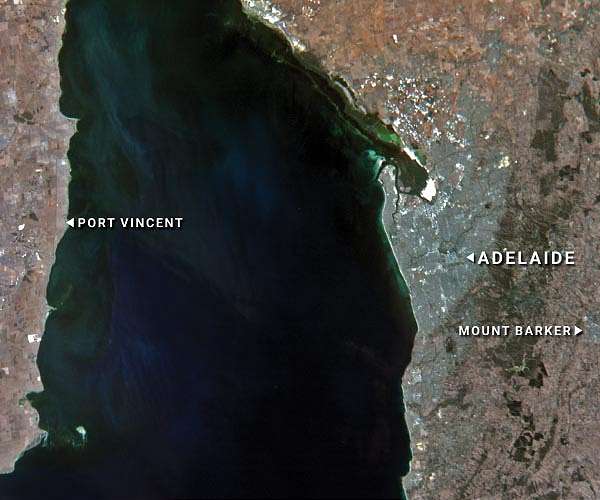 Eyes in the Sky: Kanyini's First Images Mark Milestone for SA Satellite