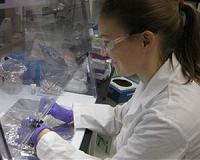 Vitamin B3 Might Have Been Made in Space, Delivered to Earth by Meteorites